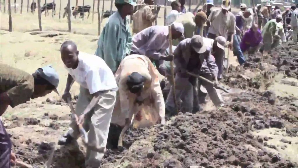 In Ethiopia, a Daily Struggle for Clean Water