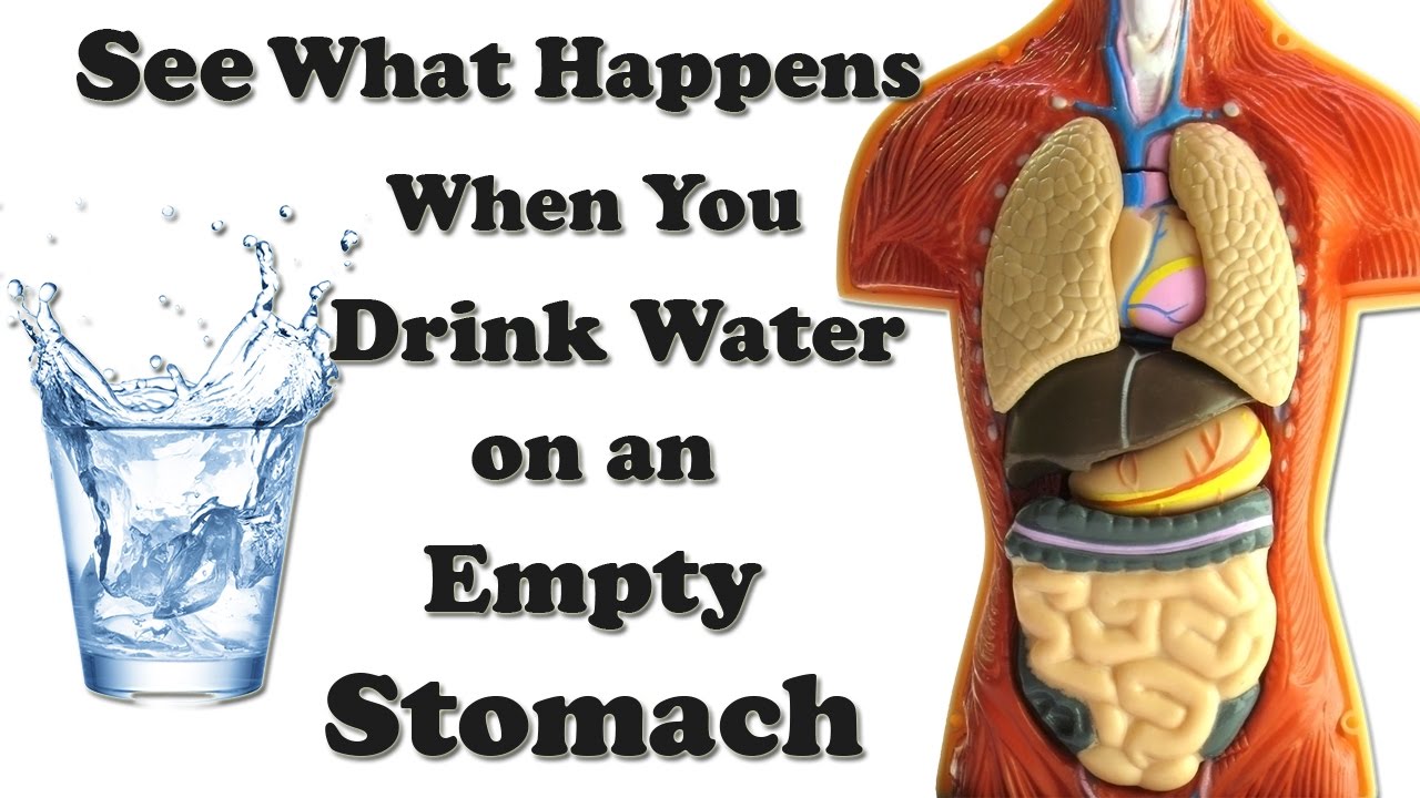 What Happens When You Drink Water On An Empty Stomach ...