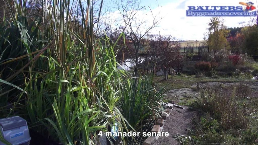 Bälters byggnadsrenovering säljer och installerar Alnarp Cleanwater reningsverk