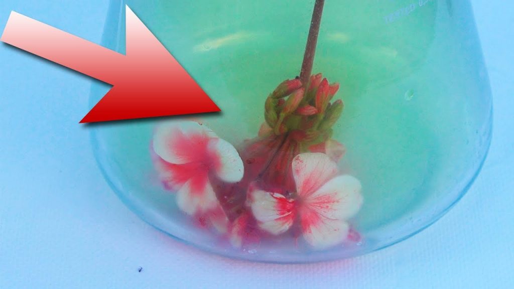 How Chlorine Can Clean Water?