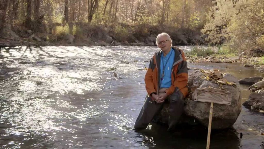 Clean Water Has Bugs In It - Stoneflies and Water Quality